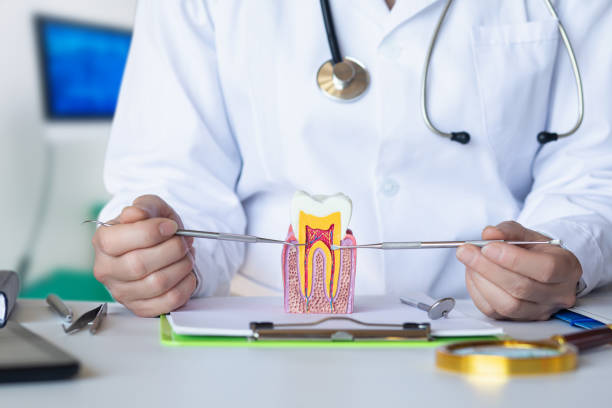 Best Pediatric Emergency Dentist in Johnstown, NY